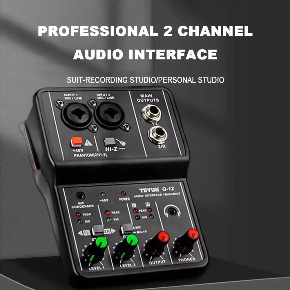 TEYUN Q12 Mini USB Audio Interface – 2-Channel Portable Mixer for Studio & Live Use